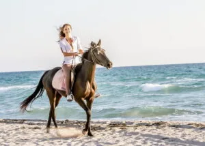 Side Horse Riding Tour beginner-friendly-horse-riding-side