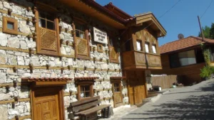 Ormana Button Houses Tour from Side