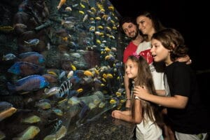 antalya-aquarium-from-side