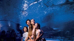 the-world-s-biggest-tunnel