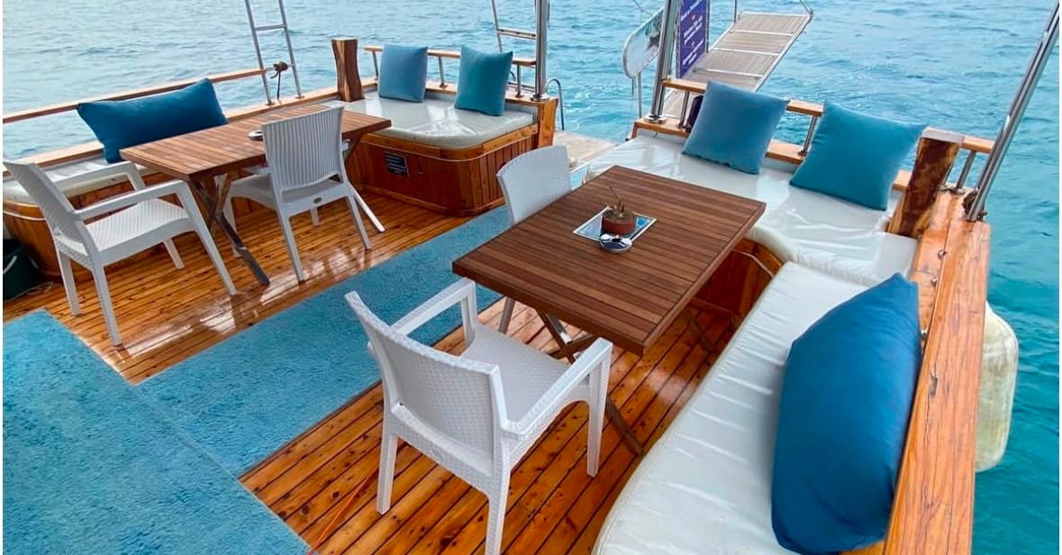 Luxury Private Boat Trip Side Turkey 7 Dolphins swimming beside private luxury boat tour in Side Turkey