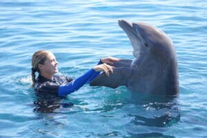 Dolphin Show side-dolphin-show-animal-welfare-ethical