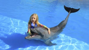 Dolphin Show side-dolphin-show-for-kids-age-limits